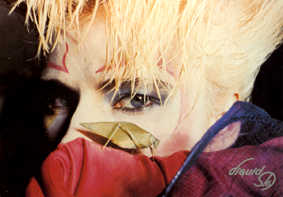 «Рідке небо»