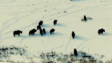 Кадр з фільму "Келін"