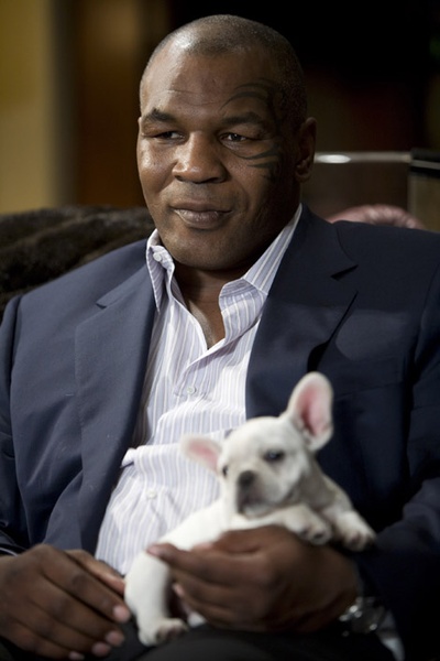 Похмілля у Вегасі